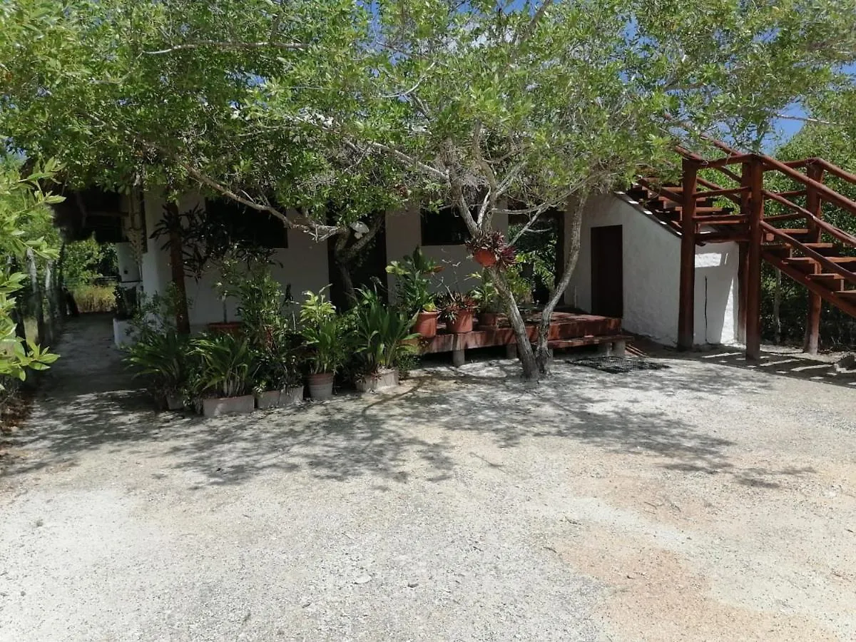 Casa De Luigi Villa Isla Holbox 0*,